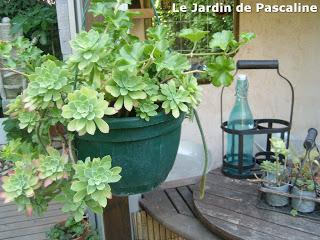 Suspension moche...très moche !