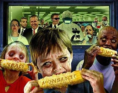 OGM : Monsanto jette l'éponge en UE