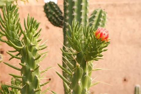 Hotel Beldi Marrakech