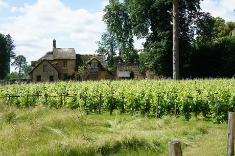 945.Promenades Parisiennes #5