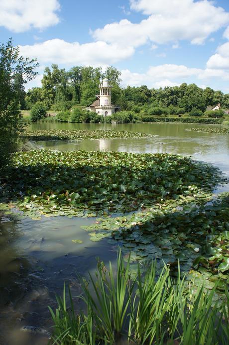 945.Promenades Parisiennes #5