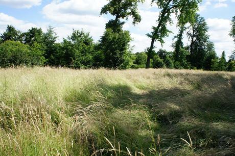 945.Promenades Parisiennes #5