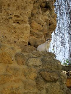 Carmo la romaine (1)