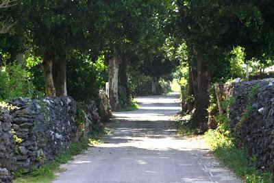 Camping sur l'ile de Izena