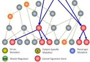 CANCER: Vers des essais cliniques pour 1 patient à la fois? – Columbia University CANCER: Vers des essais cliniques pour 1 patient à la fois? – Columbia University