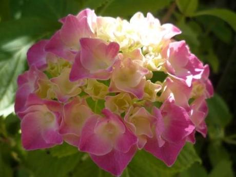 citations,écriture,livres,auteurs,littérature,culture