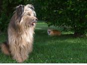 Promenade photos fleurs