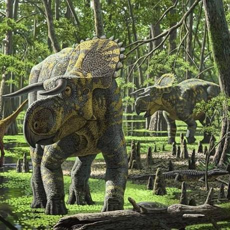 Nasutoceratops-marcage-martin_thumb.jpg