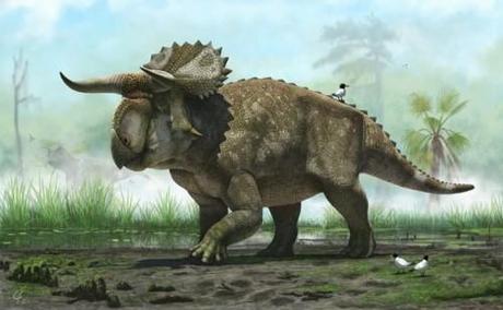 nasutuceratops-Andrey-Atuchin_thumb.jpg