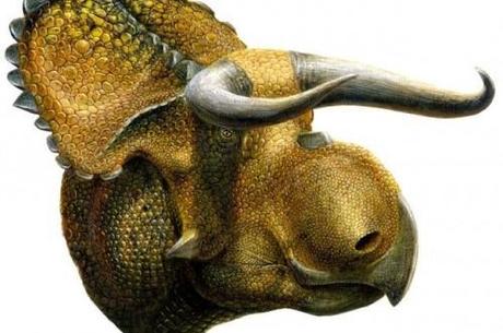 Nasutoceratops4_thumb.jpg