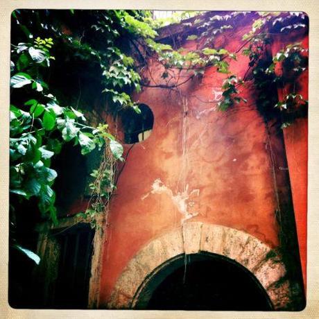 Cours de la Tour Rose