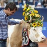 La famille Federer s’agrandit