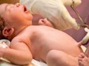 ANÉMIE: clampage tardif cordon augmente taux chez bébés Cochrane Library