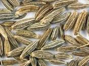 types d'aliments: résultats d'entraînement différents