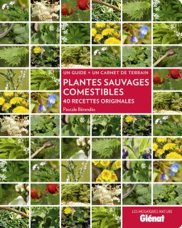 LECTURE : Plantes sauvages comestibles de Pascale Bérendès