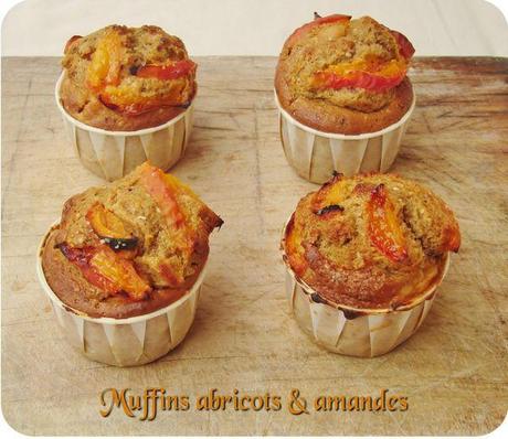 muffins abricots (scrap1)