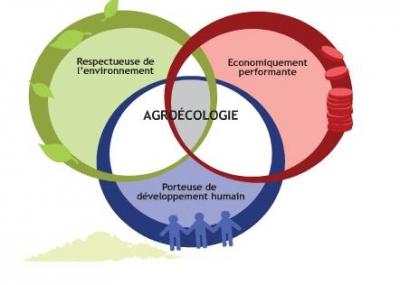 agroécologie,agriculture biologique,rabhi,espèces auxilliaires,ressources,inra,écologie