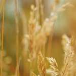 “Réserver son parking en quelques clics”  Aéroports de Paris propose aux passagers de réserver en quelques clics ……..