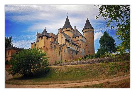 Château de Puymartin