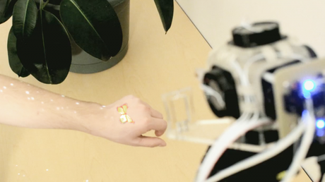 ButterflyProjectionHighRes