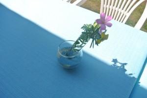 Décoration de table avec des éprouvettes, placez des fleurs dans les éprouvettes