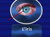 reviser facile: Corps