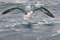 Dires et redires, par Alain Gagnon…