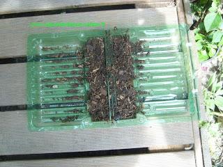 Tous les contenants sont bons à essayer !