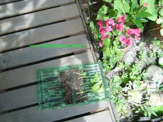 Tous les contenants sont bons à essayer !