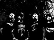 Pigs Must balance dernier album.