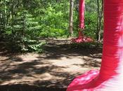 Pink Punch Croft MacLeod