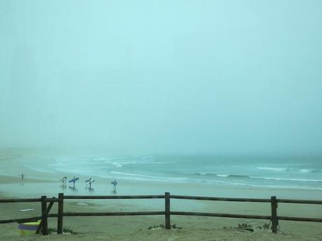 Greetings from … Peniche! IMG_8072