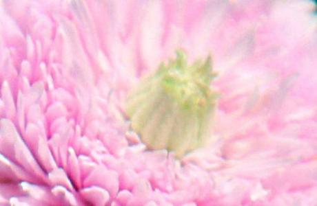  6 barres 27 juillet 2013 p 094.jpg