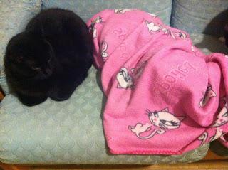 Première semaine de vacance !