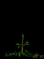 La Nature et l'Homme...