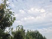 Attendons pluie avec pizza...