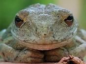 dernières nouvelles