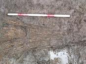 ancien piège poissons découvert quais Dublin