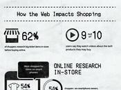 Infographie quels éléments sont influencés achats ligne