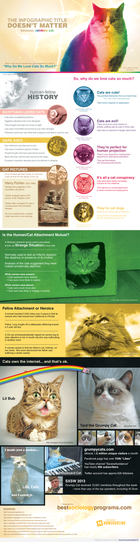 cats-infographic