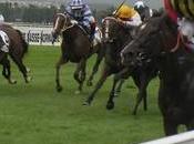 Rothschild Elusive Kate