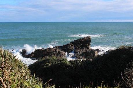 Nouvelle Zélande - Cape Foulwind - les lubies de louise (3 sur 21)