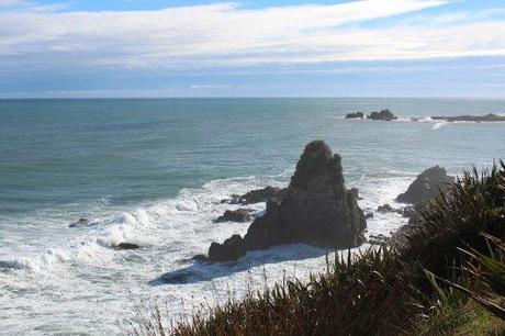 Nouvelle Zélande - Cape Foulwind - les lubies de louise (18 sur 21)