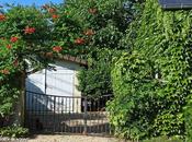 calendrier lunaire jardinier Août 2013