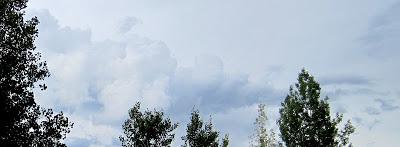 Tonalités grises ...