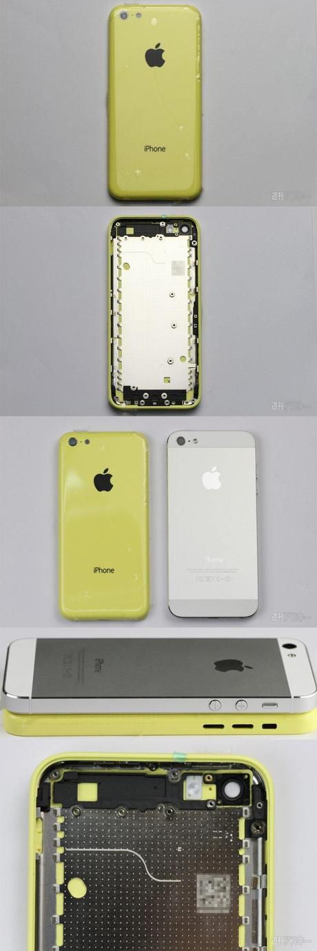 1 iPhone : Un 5C, Cheap & Colors?