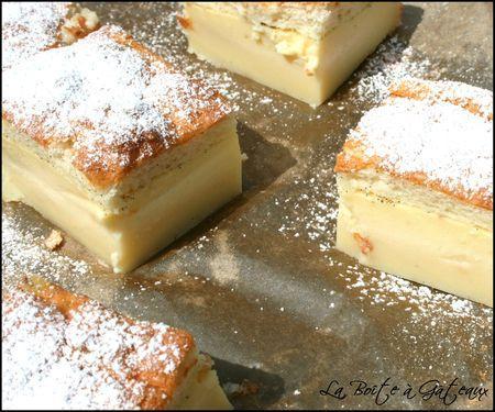 Gâteau magique à la vanille Magic Custard Cake__