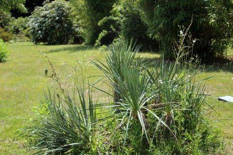 a barres 27 juillet 2013 053.jpg