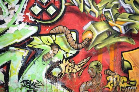 Graff du jour le 31 juillet