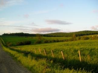 culture environnement art spectacle campagne photos photographie